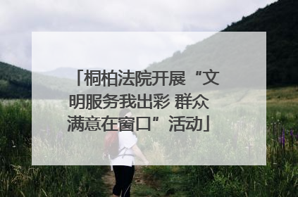 桐柏法院开展“文明服务我出彩 群众满意在窗口”活动