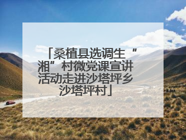 桑植县选调生“湘”村微党课宣讲活动走进沙塔坪乡沙塔坪村