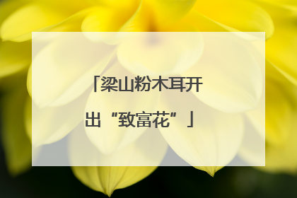 梁山粉木耳开出“致富花”