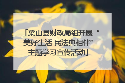 梁山县财政局组开展“美好生活 民法典相伴”主题学习宣传活动