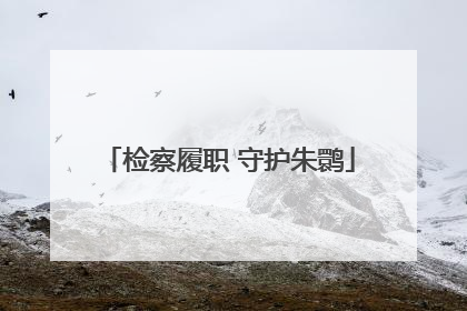 检察履职 守护朱鹮