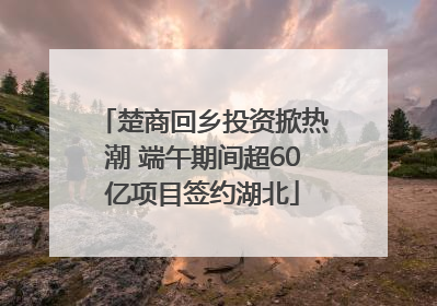 楚商回乡投资掀热潮 端午期间超60亿项目签约湖北