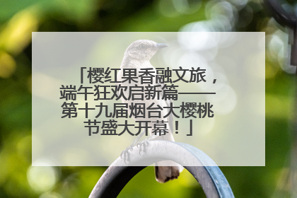 樱红果香融文旅，端午狂欢启新篇——第十九届烟台大樱桃节盛大开幕！