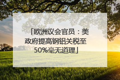 欧洲议会官员：美政府提高钢铝关税至50%毫无道理