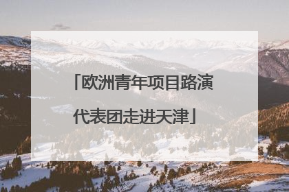 欧洲青年项目路演代表团走进天津