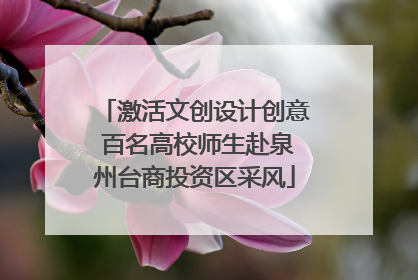 激活文创设计创意 百名高校师生赴泉州台商投资区采风