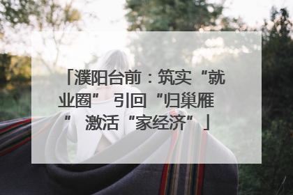 濮阳台前：筑实“就业圈” 引回“归巢雁” 激活“家经济”