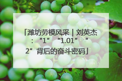 潍坊劳模风采｜刘英杰：“1”“1.01”“2”背后的奋斗密码