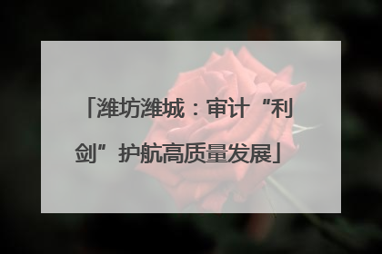 潍坊潍城：审计“利剑”护航高质量发展