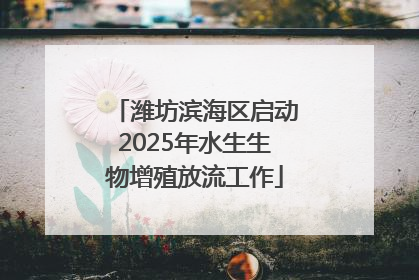 潍坊滨海区启动2025年水生生物增殖放流工作