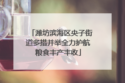 潍坊滨海区央子街道多措并举全力护航粮食丰产丰收