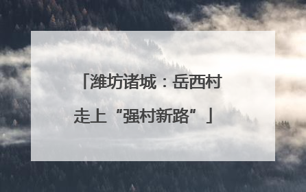 潍坊诸城：岳西村走上“强村新路”
