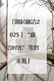 潮起廊洽2025丨“廊洽时光”等您来逛