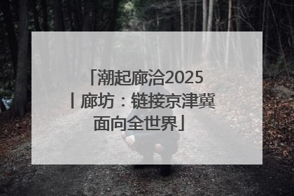 潮起廊洽2025丨廊坊：链接京津冀 面向全世界