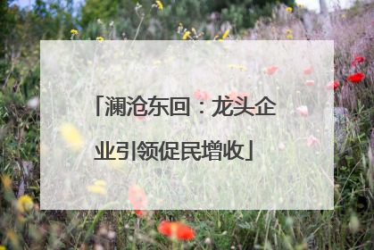 澜沧东回：龙头企业引领促民增收