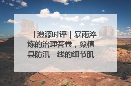 澧源时评｜暴雨淬炼的治理答卷，桑植县防汛一线的细节肌理与体系力量