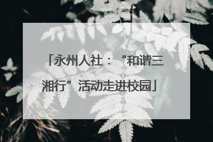 永州人社：“和谐三湘行”活动走进校园
