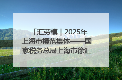 汇劳模｜2025年上海市模范集体——国家税务总局上海市徐汇区税务局第一税务所