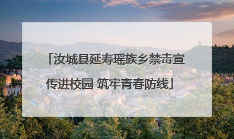 汝城县延寿瑶族乡禁毒宣传进校园 筑牢青春防线