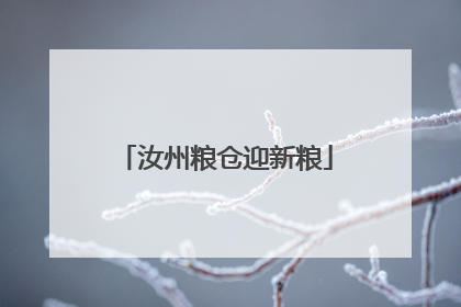 汝州粮仓迎新粮