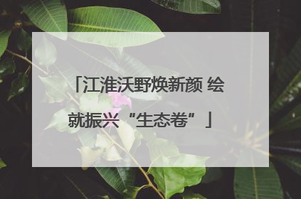 江淮沃野焕新颜 绘就振兴“生态卷”