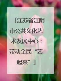 江苏省江阴市公共文化艺术发展中心：带动全民“艺起来”