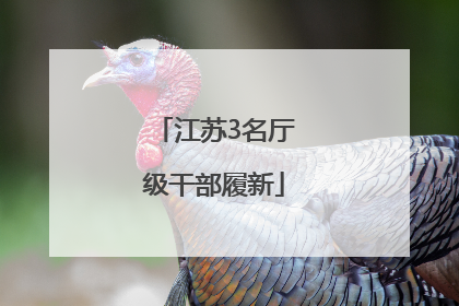 江苏3名厅级干部履新