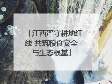 江西严守耕地红线 共筑粮食安全与生态根基