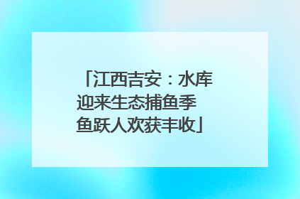 江西吉安：水库迎来生态捕鱼季 鱼跃人欢获丰收