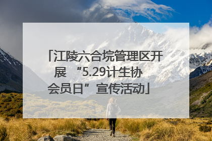 江陵六合垸管理区开展 “5.29计生协会员日”宣传活动
