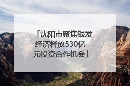 沈阳市聚焦银发经济释放530亿元投资合作机会