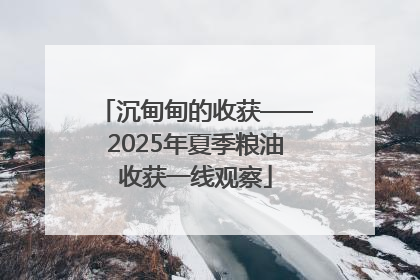 沉甸甸的收获——2025年夏季粮油收获一线观察
