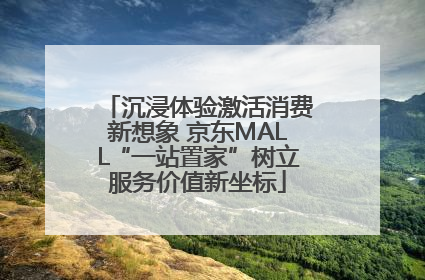 沉浸体验激活消费新想象 京东MALL“一站置家”树立服务价值新坐标