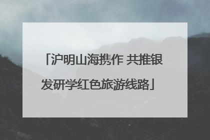沪明山海携作 共推银发研学红色旅游线路