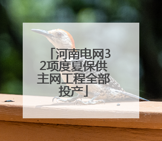 河南电网32项度夏保供主网工程全部投产