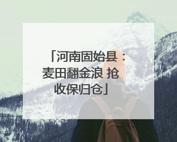 河南固始县：麦田翻金浪 抢收保归仓