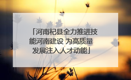 河南杞县全力推进技能河南建设 为高质量发展注入人才动能