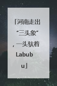河南走出“三头象”，一头驮着Labubu