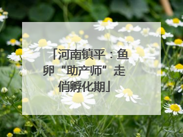 河南镇平：鱼卵“助产师”走俏孵化期