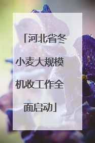 河北省冬小麦大规模机收工作全面启动