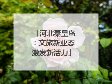 河北秦皇岛：文旅新业态激发新活力