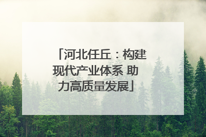 河北任丘：构建现代产业体系 助力高质量发展