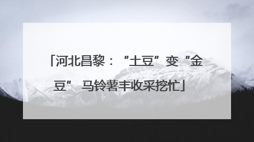 河北昌黎：“土豆”变“金豆” 马铃薯丰收采挖忙
