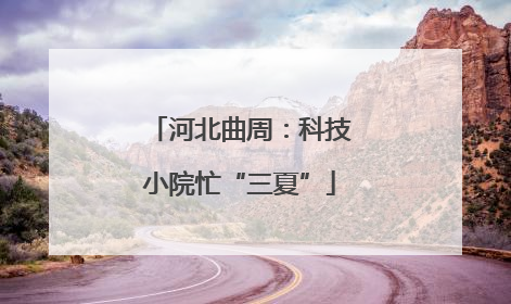 河北曲周：科技小院忙“三夏”