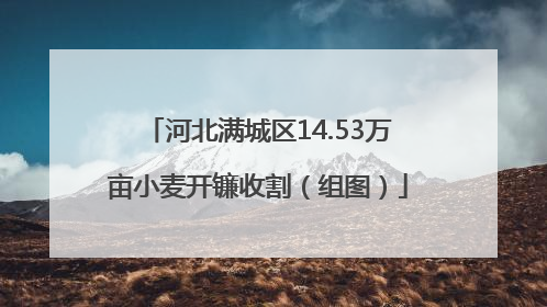 河北满城区14.53万亩小麦开镰收割（组图）