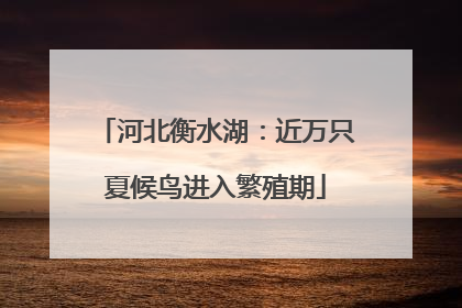 河北衡水湖：近万只夏候鸟进入繁殖期