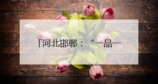 河北邯郸：“一品一播”兴产业惠民生