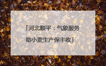 河北顺平：气象服务助小麦生产保丰收