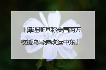 泽连斯基称美国两万枚援乌导弹改运中东