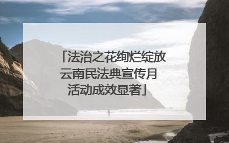 法治之花绚烂绽放 云南民法典宣传月活动成效显著